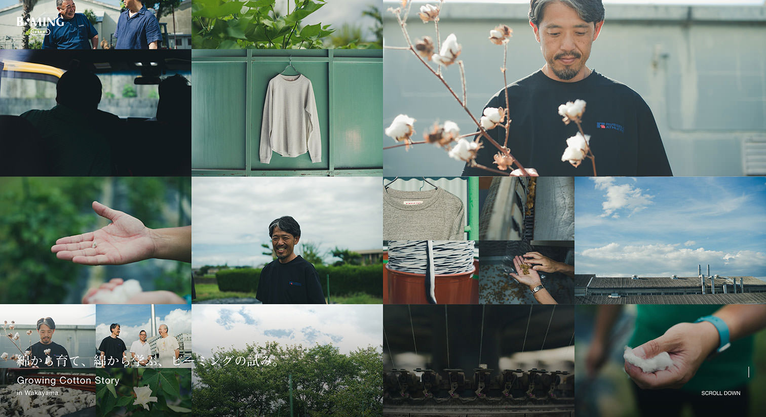 綿から育て、綿から学ぶ、ビーミングの試み。｜Growing Cotton Story